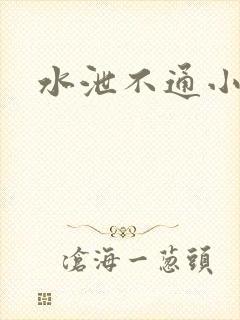 水泄不通小说