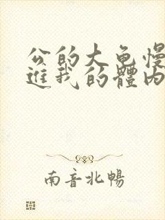 公的大龟慢慢挺进我的体内视频