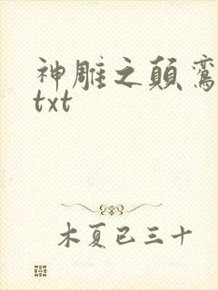 神雕之颠鸾倒凤txt
