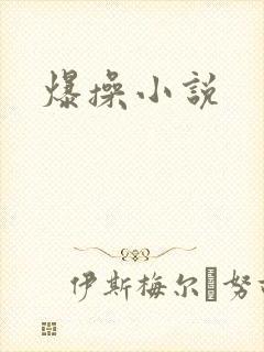 爆操小说