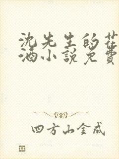 沈先生的花式调酒小说免费阅读