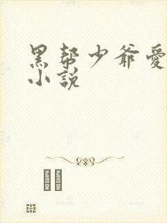 黑帮少爷爱上我小说
