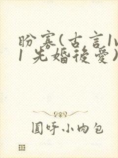 盼寡(古言1v1 先婚后爱)荔枝好多