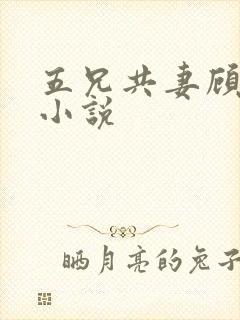 五兄共妻顾心儿小说