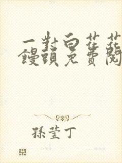 一对白花花的大馒头免费阅读