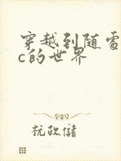 穿越到随处可以c的世界