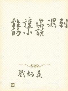 能让你湿到不行的小说