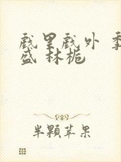 戏里戏外 季淮盛 林栀