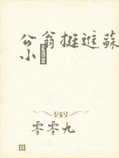 公翁挺进苏玥的小泬