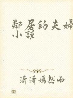 邻居的夫妇交换小说