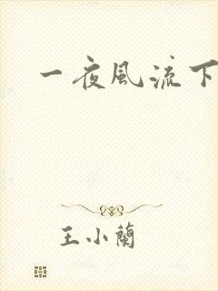 一夜风流下载