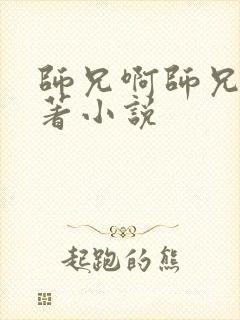 师兄啊师兄的原著小说