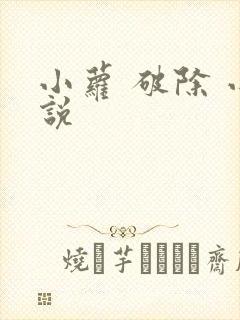小萝 破除 小说
