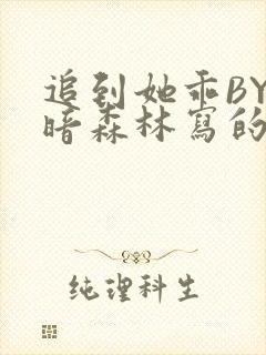 追到她乖BY黑暗森林写的小说