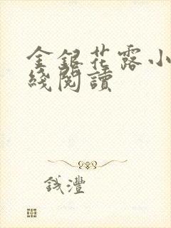 金银花露小说在线阅读