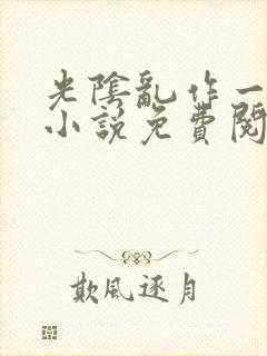 光阴乱作一团的小说免费阅读