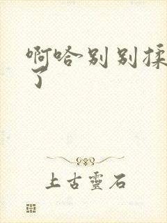 啊哈别别揉那处了