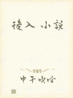 后入 小说