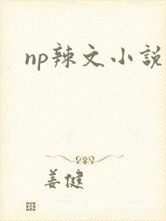 np辣文小说
