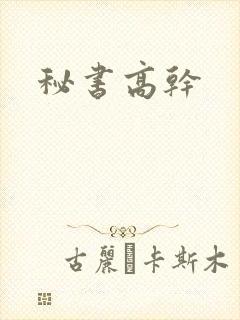 秘书高干