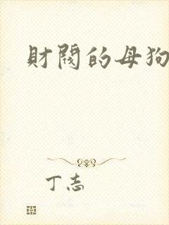 财阀的母狗们