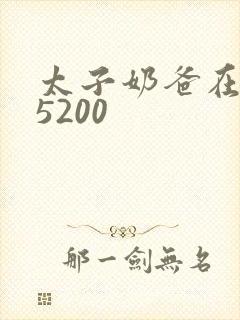 太子奶爸在花都5200