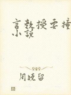 言教授要撞坏了小说