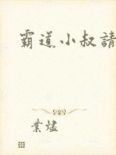 霸道小叔请轻撩