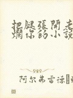 把腿张开老子臊烂你的小说