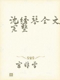 沈绣琴全文阅读完整