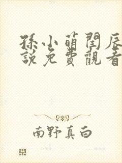 孙小萌闫辰的小说免费观看