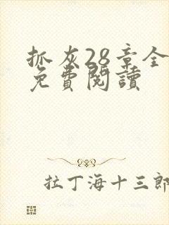 抓灰28章全部免费阅读