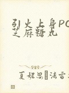 引火上身POP芝麻糖丸