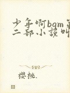 少年啊bgm第二部小说叫什么