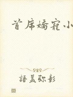 首席娇宠小情人