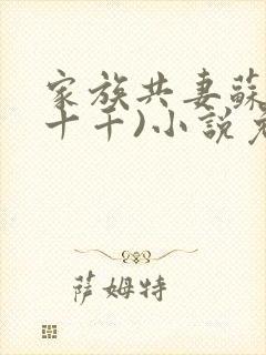 家族共妻苏苏(十千)小说免费