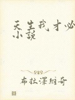 天生我才必有用小说