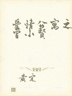 爱情公寓之极品曾小贤