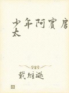 少年阿宾房东太太