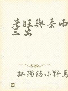 老旺与秦雨三进三出