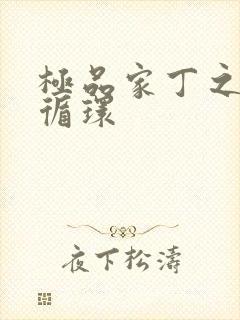 极品家丁之因果循环