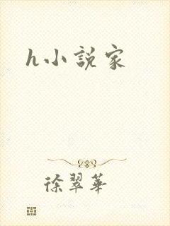 h小说家