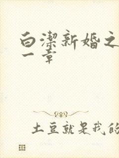 白洁新婚之夜第一章