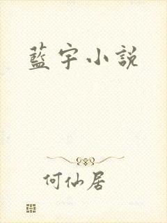 蓝宇小说