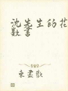 沈先生的花式调数书