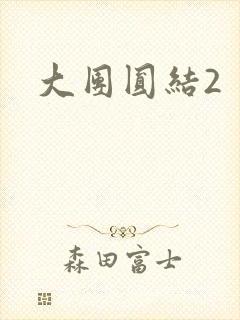 大团圆结2