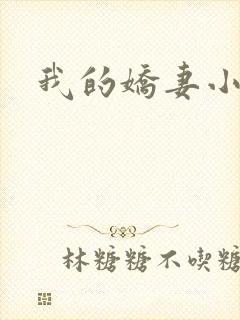 我的娇妻小说