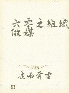 六零之组织给我做媒