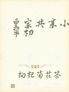 皇家共享小公主宁初