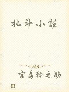 北斗小说
